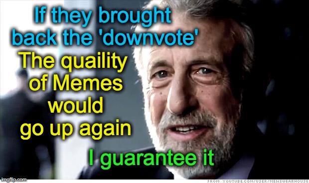 I Guarantee It Meme | If they brought back the 'downvote'; The quaility of Memes would go up again; I guarantee it | image tagged in memes,i guarantee it | made w/ Imgflip meme maker