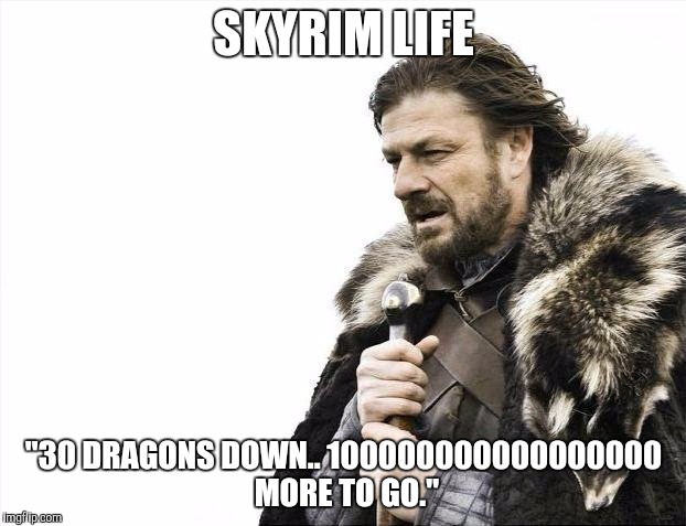 Brace Yourselves X is Coming | SKYRIM LIFE; "30 DRAGONS DOWN.. 100000000000000000 MORE TO GO." | image tagged in memes,brace yourselves x is coming | made w/ Imgflip meme maker