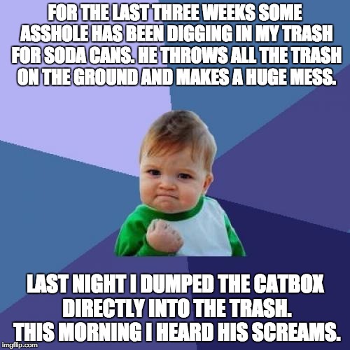 Success Kid Meme | FOR THE LAST THREE WEEKS SOME ASSHOLE HAS BEEN DIGGING IN MY TRASH FOR SODA CANS. HE THROWS ALL THE TRASH ON THE GROUND AND MAKES A HUGE MESS. LAST NIGHT I DUMPED THE CATBOX DIRECTLY INTO THE TRASH. THIS MORNING I HEARD HIS SCREAMS. | image tagged in memes,success kid | made w/ Imgflip meme maker