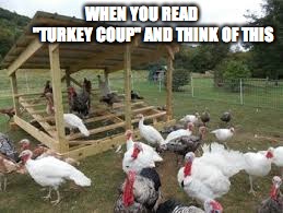 Turkey coup | WHEN YOU READ               "TURKEY COUP" AND THINK OF THIS | image tagged in turkey | made w/ Imgflip meme maker