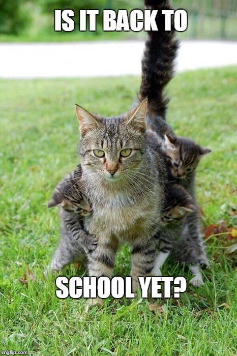kids | IS IT BACK TO; SCHOOL YET? | image tagged in back to school,kids,mom,moms,summer | made w/ Imgflip meme maker