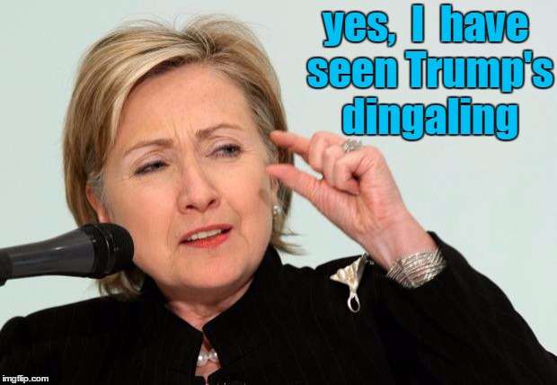 Hillary reveals a secret | yes,  I  have seen Trump's dingaling | image tagged in hillary clinton fingers | made w/ Imgflip meme maker