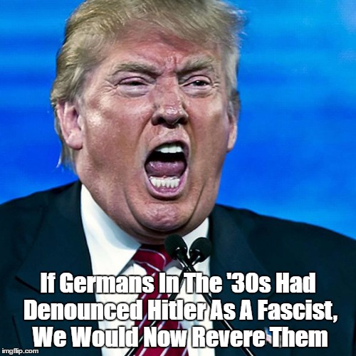 If Germans In The '30s Had Denounced Hitler As A Fascist, We Would Now Revere Them | made w/ Imgflip meme maker