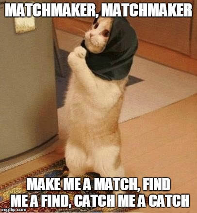 I've Been Watching Too Much Fiddler on the Roof Lately | MATCHMAKER, MATCHMAKER; MAKE ME A MATCH, FIND ME A FIND, CATCH ME A CATCH | image tagged in fiddler on the roof,matchmaker,cat memes | made w/ Imgflip meme maker