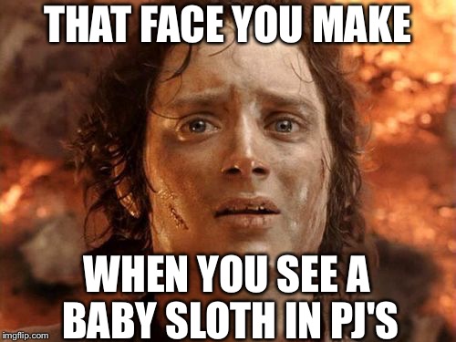 The End of All Cuteness | THAT FACE YOU MAKE; WHEN YOU SEE A BABY SLOTH IN PJ'S | image tagged in memes,its finally over | made w/ Imgflip meme maker