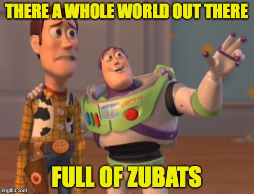 Pokemon Go! | THERE A WHOLE WORLD OUT THERE; FULL OF ZUBATS | image tagged in memes,x x everywhere | made w/ Imgflip meme maker