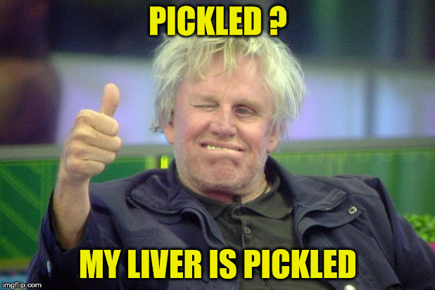 gary busey | PICKLED ? MY LIVER IS PICKLED | image tagged in alcoholic | made w/ Imgflip meme maker