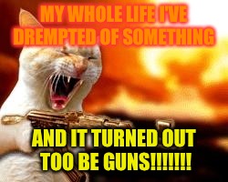 lol | MY WHOLE LIFE I'VE DREMPTED OF SOMETHING; AND IT TURNED OUT TOO BE GUNS!!!!!!! | image tagged in lol | made w/ Imgflip meme maker