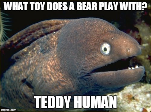 Bad Joke Eel | WHAT TOY DOES A BEAR PLAY WITH? TEDDY HUMAN | image tagged in memes,bad joke eel | made w/ Imgflip meme maker