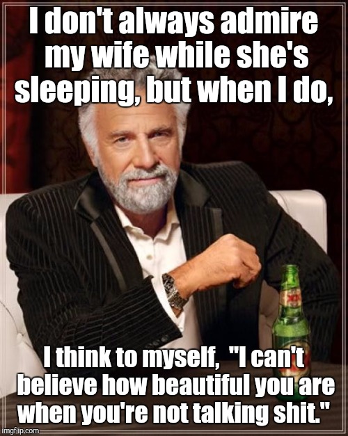 The Most Interesting Man In The World Meme | I don't always admire my wife while she's sleeping, but when I do, I think to myself,  "l can't believe how beautiful you are when you're not talking shit." | image tagged in memes,the most interesting man in the world | made w/ Imgflip meme maker