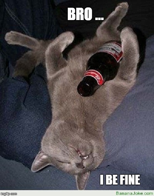 just one or two | BRO ... I BE FINE | image tagged in memes,cats,you're drunk,kitty | made w/ Imgflip meme maker