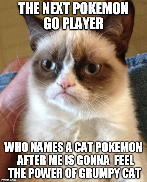 Grumpy Cat Meme | THE NEXT POKEMON GO PLAYER; WHO NAMES A CAT POKEMON  AFTER ME IS GONNA  FEEL  THE POWER OF GRUMPY CAT | image tagged in memes,grumpy cat | made w/ Imgflip meme maker