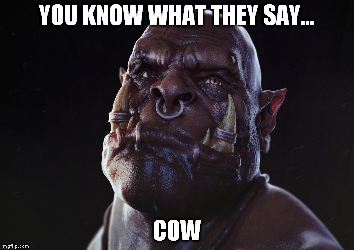 Cow | YOU KNOW WHAT THEY SAY... COW | image tagged in cow,wow,memes,cows,dank,world of warcraft | made w/ Imgflip meme maker