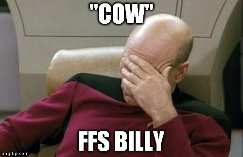 Cow | "COW"; FFS BILLY | image tagged in memes,captain picard facepalm,cow,dank | made w/ Imgflip meme maker