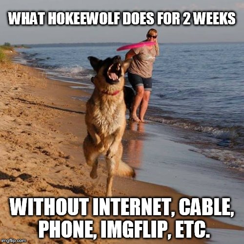 Back from a long awaited vacation at the beachfront! | WHAT HOKEEWOLF DOES FOR 2 WEEKS; WITHOUT INTERNET, CABLE, PHONE, IMGFLIP, ETC. | image tagged in memes,beach,day at the beach,vacation,dogs,frisbee | made w/ Imgflip meme maker