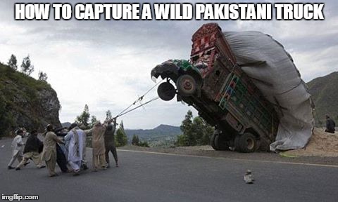 wild truck | HOW TO CAPTURE A WILD PAKISTANI TRUCK | image tagged in pakistan | made w/ Imgflip meme maker