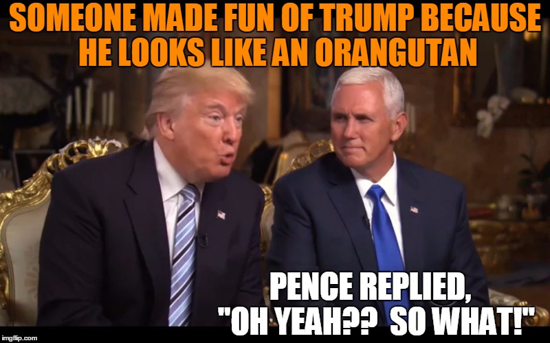 Pence:  He's got Trump's back! | SOMEONE MADE FUN OF TRUMP BECAUSE HE LOOKS LIKE AN ORANGUTAN; PENCE REPLIED,  "OH YEAH??  SO WHAT!" | image tagged in trump 60 minutes | made w/ Imgflip meme maker