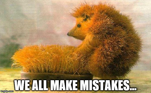 How long before he realises? Hedge you bets... | WE ALL MAKE MISTAKES... | image tagged in memes,animals,hedgehog,mistakes | made w/ Imgflip meme maker