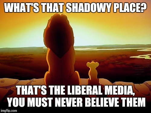 Lion King | WHAT'S THAT SHADOWY PLACE? THAT'S THE LIBERAL MEDIA, YOU MUST NEVER BELIEVE THEM | image tagged in memes,lion king | made w/ Imgflip meme maker