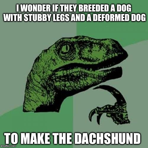 Philosoraptor | I WONDER IF THEY BREEDED A DOG WITH STUBBY LEGS AND A DEFORMED DOG; TO MAKE THE DACHSHUND | image tagged in memes,philosoraptor | made w/ Imgflip meme maker