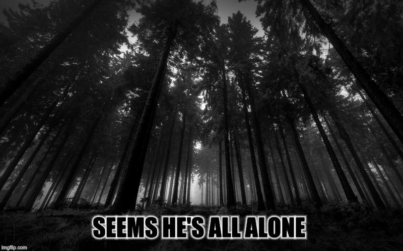 SEEMS HE'S ALL ALONE | made w/ Imgflip meme maker