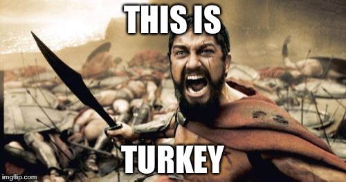 The world is ending | THIS IS; TURKEY | image tagged in memes,sparta leonidas | made w/ Imgflip meme maker