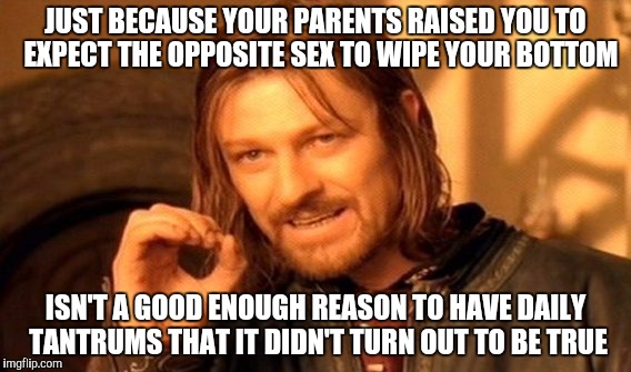 One Does Not Simply | JUST BECAUSE YOUR PARENTS RAISED YOU TO  EXPECT THE OPPOSITE SEX TO WIPE YOUR BOTTOM; ISN'T A GOOD ENOUGH REASON TO HAVE DAILY TANTRUMS THAT IT DIDN'T TURN OUT TO BE TRUE | image tagged in memes,one does not simply | made w/ Imgflip meme maker