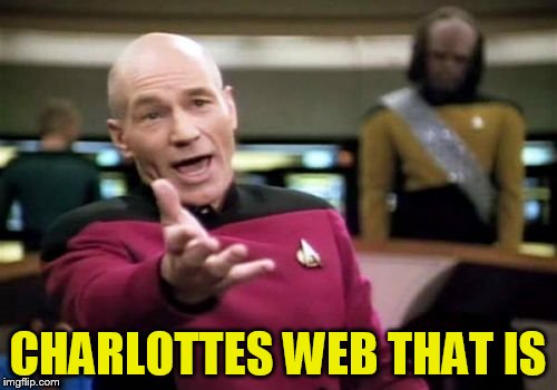 Picard Wtf Meme | CHARLOTTES WEB THAT IS | image tagged in memes,picard wtf | made w/ Imgflip meme maker