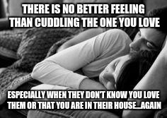 cuddling | THERE IS NO BETTER FEELING THAN CUDDLING THE ONE YOU LOVE; ESPECIALLY WHEN THEY DON'T KNOW YOU LOVE THEM OR THAT YOU ARE IN THEIR HOUSE...AGAIN | image tagged in cuddling | made w/ Imgflip meme maker
