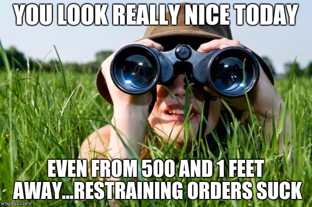 stalkergirl | YOU LOOK REALLY NICE TODAY; EVEN FROM 500 AND 1 FEET AWAY...RESTRAINING ORDERS SUCK | image tagged in stalkergirl | made w/ Imgflip meme maker