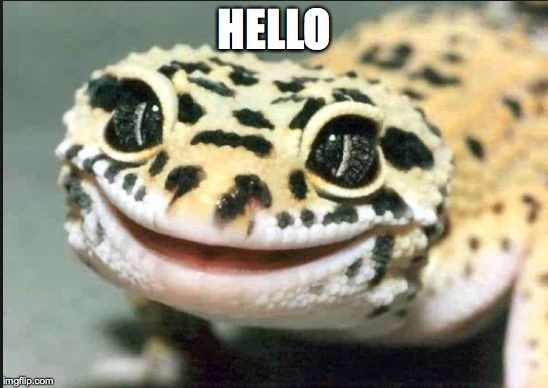 HELLO | image tagged in hello | made w/ Imgflip meme maker
