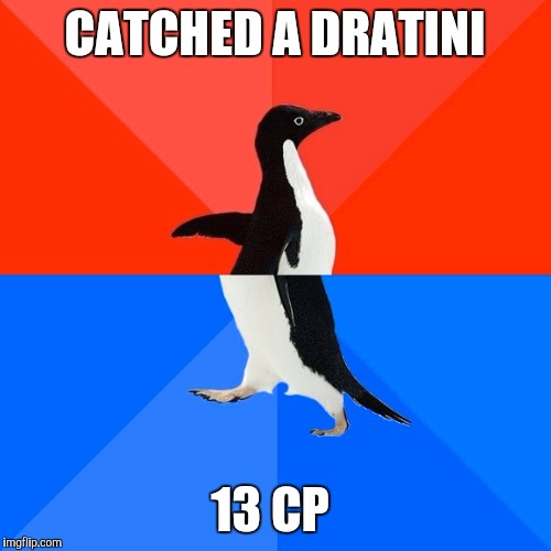 Socially Awesome Awkward Penguin Meme | CATCHED A DRATINI; 13 CP | image tagged in memes,socially awesome awkward penguin | made w/ Imgflip meme maker