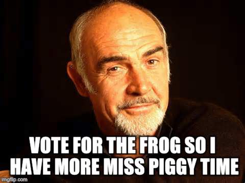 VOTE FOR THE FROG SO I HAVE MORE MISS PIGGY TIME | made w/ Imgflip meme maker