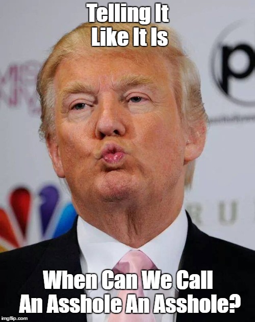 "Telling It Like It Is. When Can We..." | Telling It Like It Is; When Can We Call An Asshole An Asshole? | image tagged in trump,asshole,telling it like it is | made w/ Imgflip meme maker