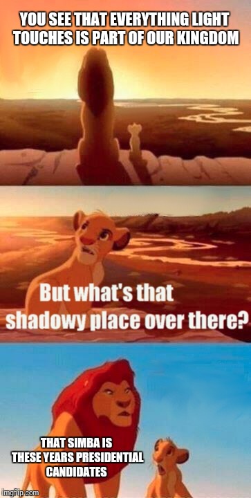 Simba Shadowy Place | YOU SEE THAT EVERYTHING LIGHT TOUCHES IS PART OF OUR KINGDOM; THAT SIMBA IS THESE YEARS PRESIDENTIAL CANDIDATES | image tagged in memes,simba shadowy place | made w/ Imgflip meme maker
