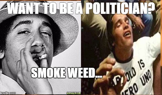 One Does Not Simply Meme | WANT TO BE A POLITICIAN? SMOKE WEED... | image tagged in memes,one does not simply | made w/ Imgflip meme maker