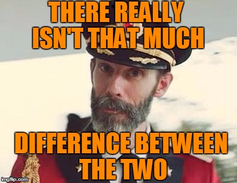 Captain Obvious | THERE REALLY ISN'T THAT MUCH DIFFERENCE BETWEEN THE TWO | image tagged in captain obvious | made w/ Imgflip meme maker