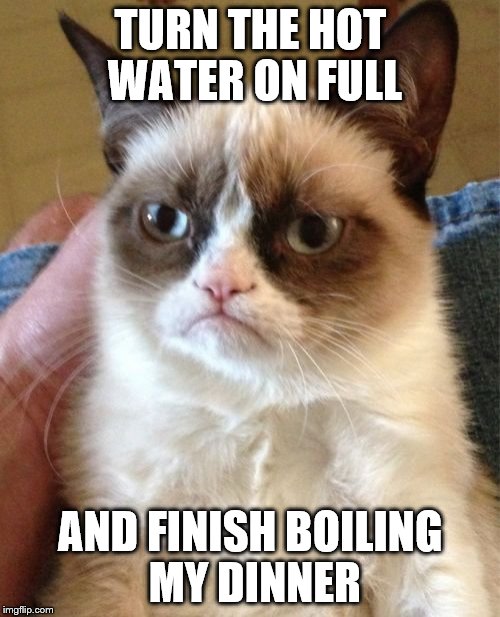 Grumpy Cat Meme | TURN THE HOT WATER ON FULL AND FINISH BOILING MY DINNER | image tagged in memes,grumpy cat | made w/ Imgflip meme maker