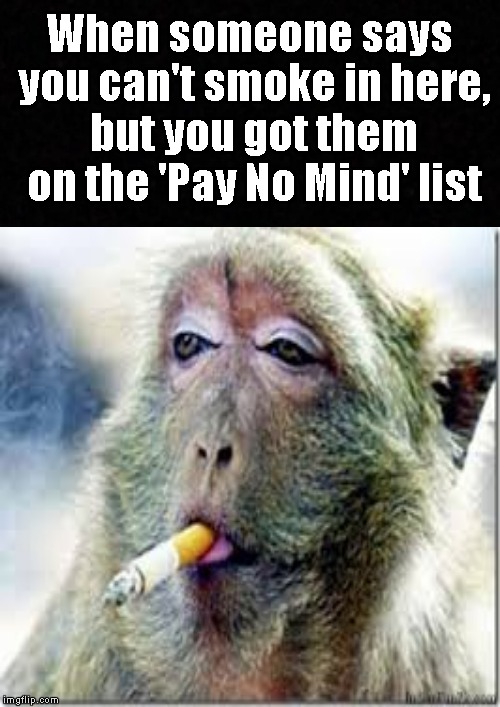 Pay no mind.... | When someone says you can't smoke in here, but you got them on the 'Pay No Mind' list | image tagged in funny memes,smoking,ignore,memes,meme | made w/ Imgflip meme maker
