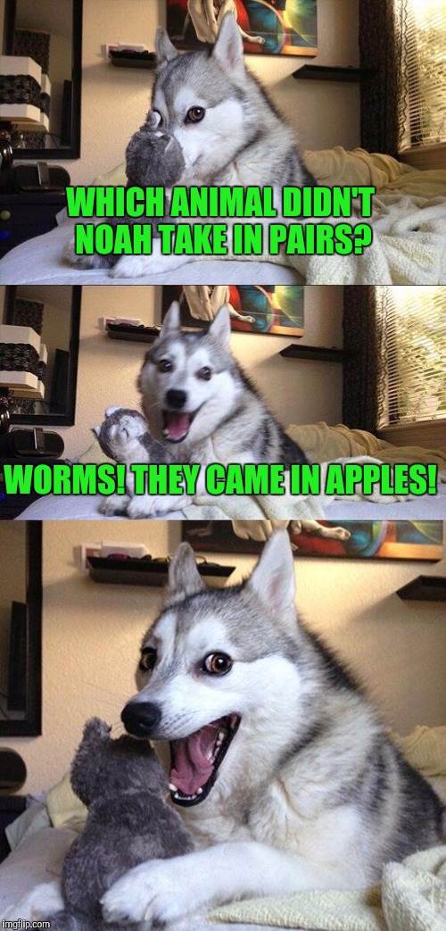 Noah didn't take this Dog! | WHICH ANIMAL DIDN'T NOAH TAKE IN PAIRS? WORMS! THEY CAME IN APPLES! | image tagged in memes,bad pun dog | made w/ Imgflip meme maker