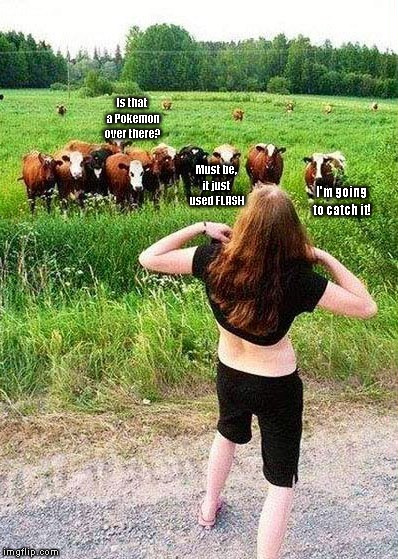 Everyone is playing Pokemon Go | Is that a Pokemon over there? Must be, it just used FLASH; I'm going to catch it! | image tagged in flashing cows,pokemon go,flash | made w/ Imgflip meme maker