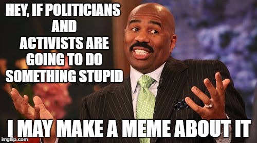 If they leave themselves open | HEY, IF POLITICIANS AND ACTIVISTS ARE GOING TO DO SOMETHING STUPID; I MAY MAKE A MEME ABOUT IT | image tagged in memes,steve harvey,activism,politicians | made w/ Imgflip meme maker