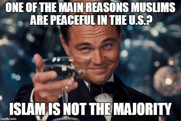 Leonardo Dicaprio Cheers Meme | ONE OF THE MAIN REASONS MUSLIMS ARE PEACEFUL IN THE U.S.? ISLAM IS NOT THE MAJORITY | image tagged in memes,leonardo dicaprio cheers | made w/ Imgflip meme maker