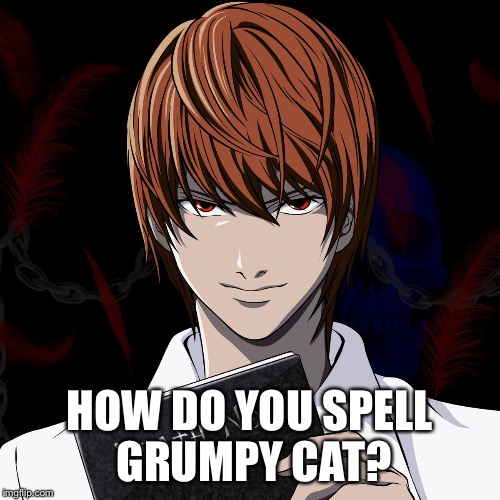 death note | HOW DO YOU SPELL GRUMPY CAT? | image tagged in death note | made w/ Imgflip meme maker
