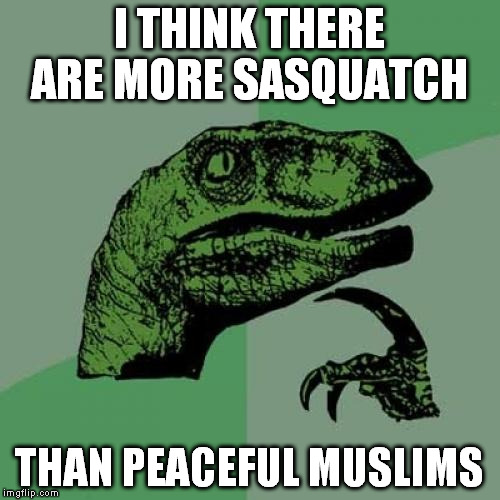 Philosoraptor Meme | I THINK THERE ARE MORE SASQUATCH THAN PEACEFUL MUSLIMS | image tagged in memes,philosoraptor | made w/ Imgflip meme maker