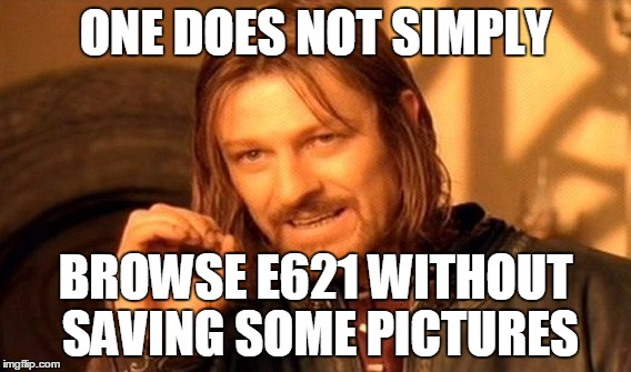 One Does Not Simply Meme | ONE DOES NOT SIMPLY; BROWSE E621 WITHOUT SAVING SOME PICTURES | image tagged in memes,one does not simply | made w/ Imgflip meme maker