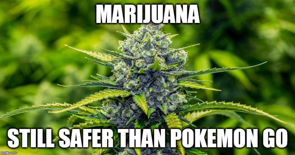 MARIJUANA; STILL SAFER THAN POKEMON GO | image tagged in safer than pokemon | made w/ Imgflip meme maker