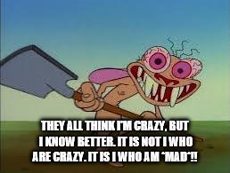 rage | THEY ALL THINK I'M CRAZY, BUT I KNOW BETTER. IT IS NOT I WHO ARE CRAZY. IT IS I WHO AM *MAD*!! | image tagged in rage | made w/ Imgflip meme maker