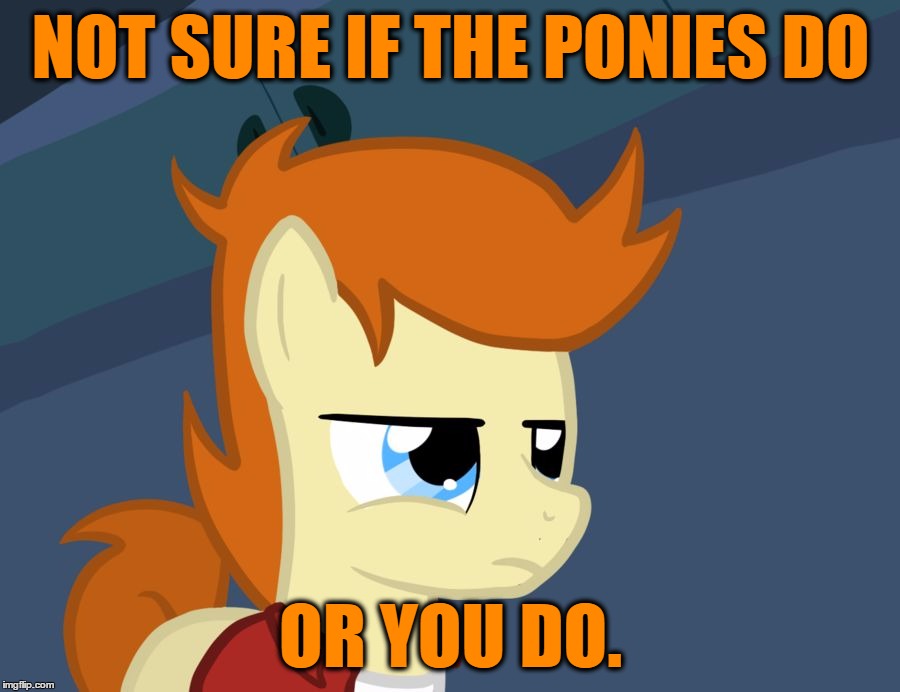 Futurama Fry Pony | NOT SURE IF THE PONIES DO OR YOU DO. | image tagged in futurama fry pony | made w/ Imgflip meme maker