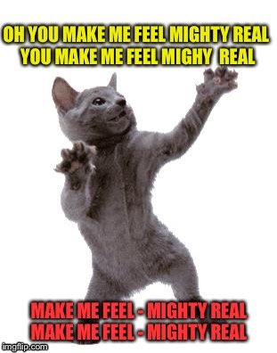 Fabulous 70s - Sylvester | OH YOU MAKE ME FEEL MIGHTY REAL 
YOU MAKE ME FEEL MIGHY  REAL; MAKE ME FEEL - MIGHTY REAL MAKE ME FEEL - MIGHTY REAL | image tagged in happy dance cat,disco,funny animals,funny dancing,funny cat,look at me | made w/ Imgflip meme maker